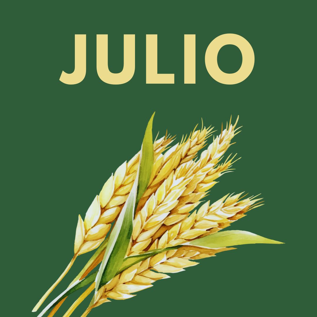Mes de Agosto