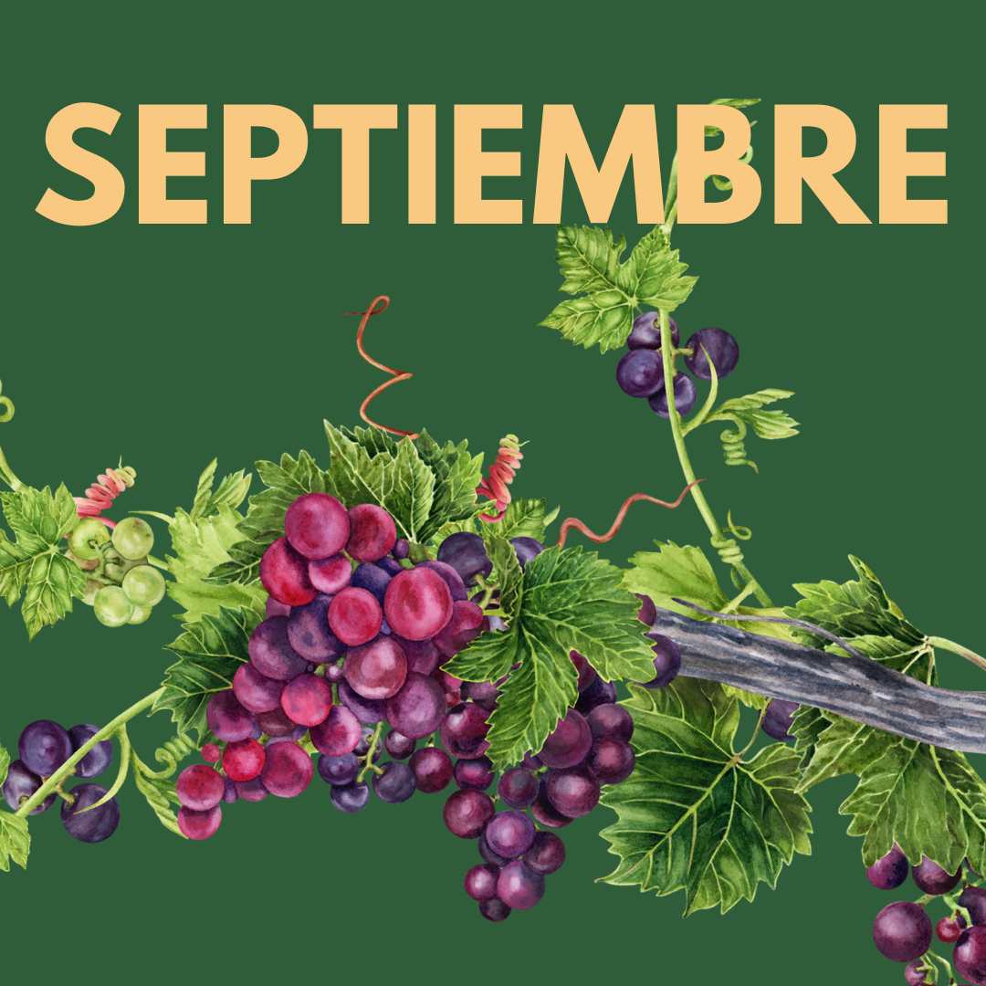 Mes de Agosto